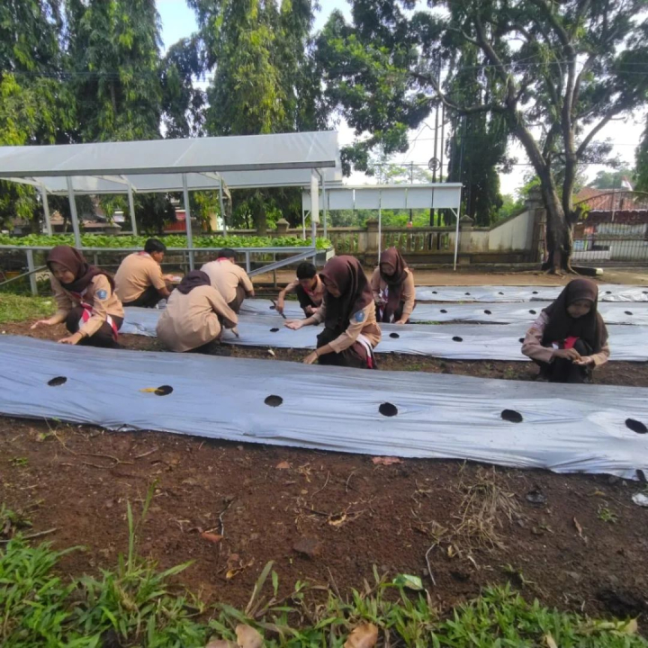Image of Panen mentimun, hasil kolaborasi Sekolah Siaga Kependudukan dan Sekolah Adiwiyata, dengan memanfaatkan lahan kosong untuk program ketahananan pangan.