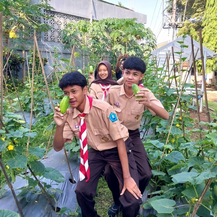 Image of Panen kedua mentimun, kolaborasi tim Adiwiyata dan SSK SMAN 1 Boja